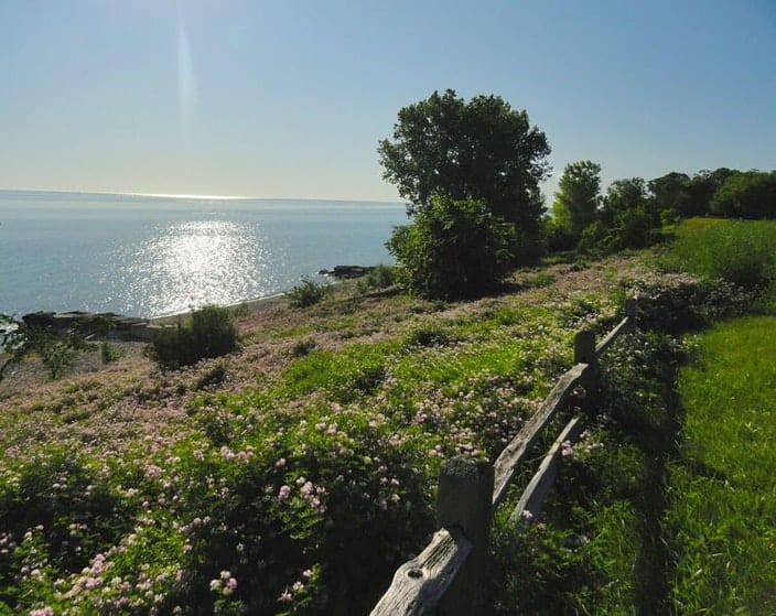 Ascension Living - Lakeshore at Siena photo 9